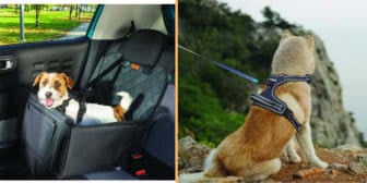 Accessoires de voiture pour chien