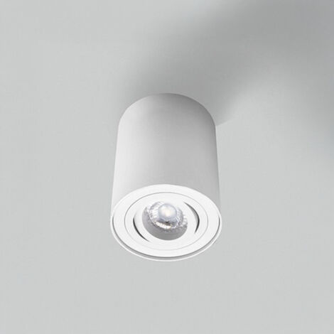 Spot Cylindrique Blanc Orientable Essence