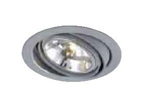 Spot encastré orientable 30° Ø 182mm gris pour lampe 111mm G53 12V 50W max (non incl) sans transfo WALRUS TRAJECTOIRE 001870