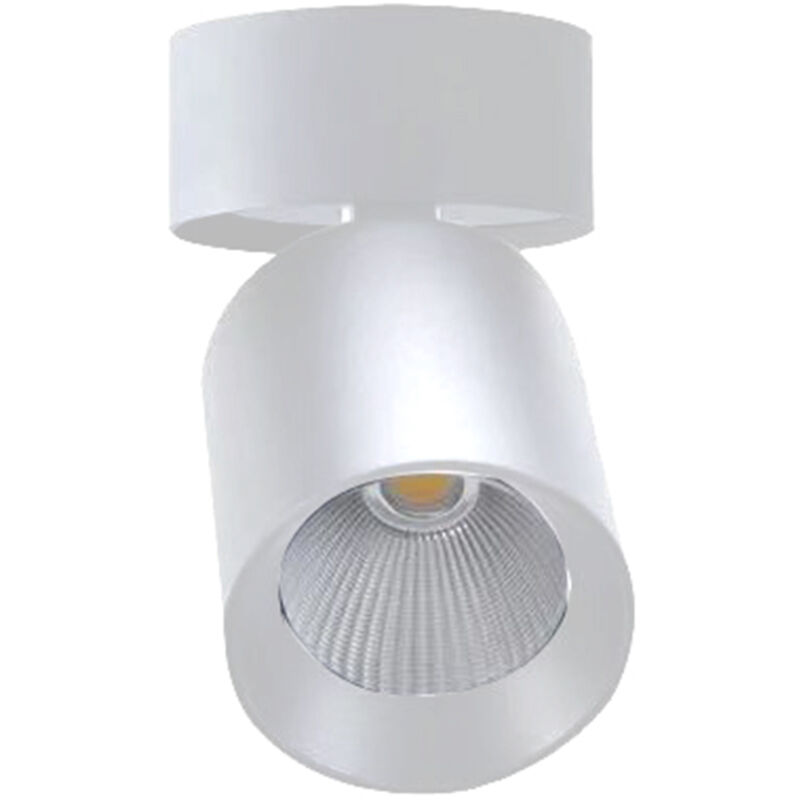 Spot LED en Saillie Orientable 20W CCT(3000K - 4000K - 6500K), Spots de Plafond Plafonnier à Angle réglable, rotatif à 350° et 90° - Blanc