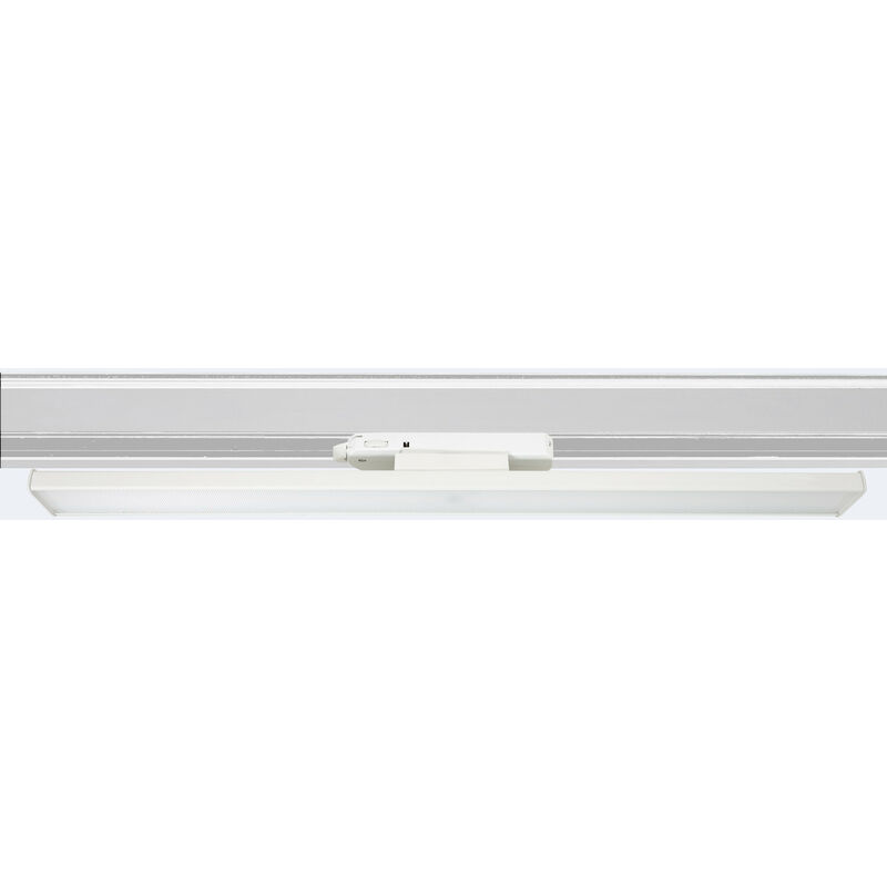 Spot led sur Rail triphasé 30 w 2CCT Dimmable Davis Optique Symétrique lifud Blanc120º