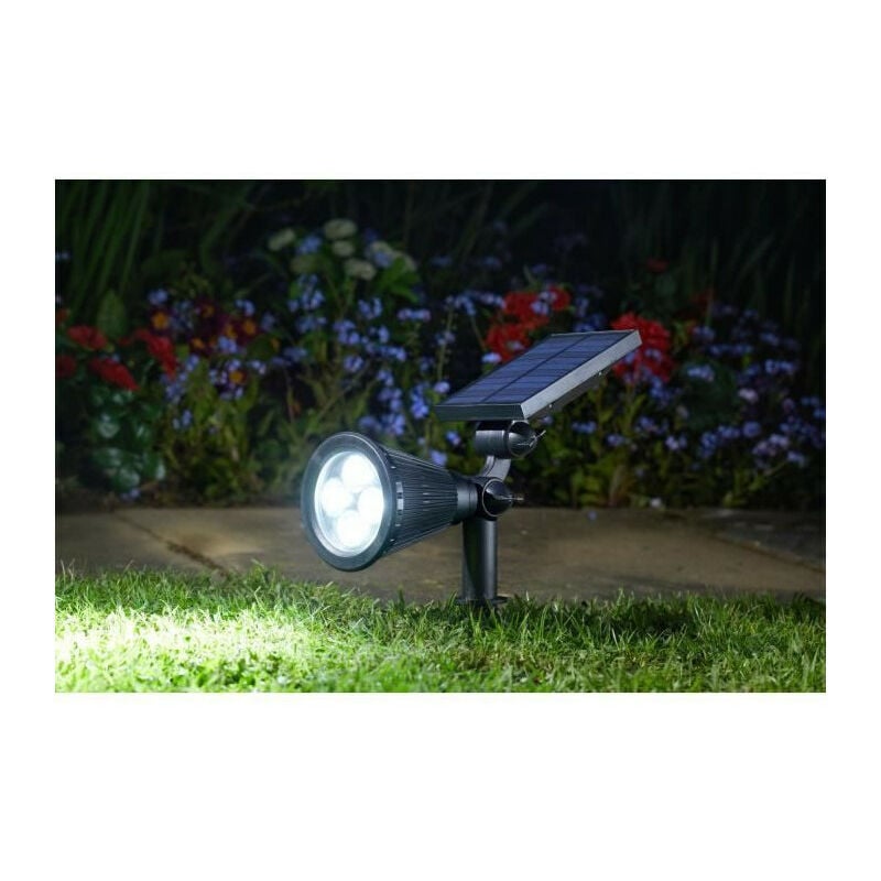 Spot Lumi 70L, Mail Order