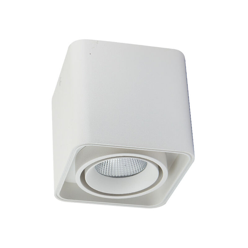 Spots de plafond orientable(avec ampoules 10W led ) Applique spot ,220V lumière chaude 1PCS Blanc