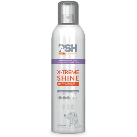 Spray Finition Brillance "X-TREME SHINE" 300 ml