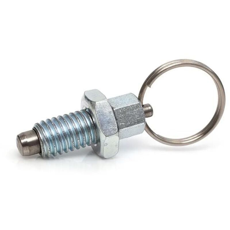 Spring ring piston M10 - Zinc-coated steel - Stainless steel pin - Locking nut - Lifting ring