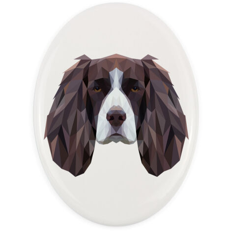 Springer Spaniel inglés: placa con foto e inscripción geométrica de Art-Dog