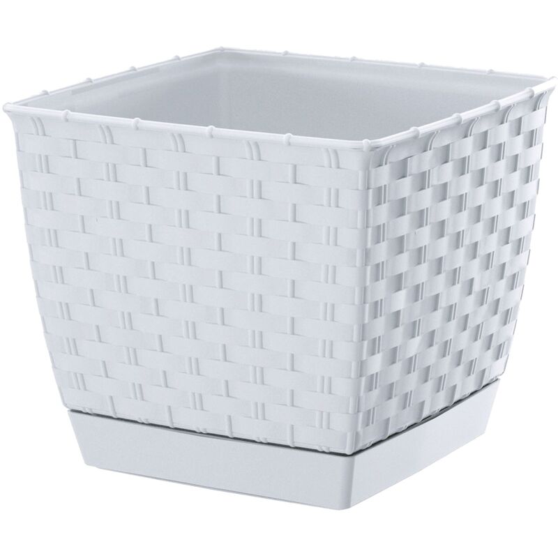 Prosperplast - Square 6L Ratolla Pot., Dimensions (mm) 220x220x189, couleur blanche