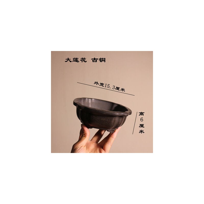 Squisiti ornamenti in vaso di fiori piccoli bonsai...