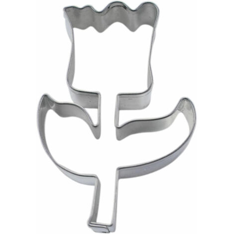 Städter Tulpe 5,5 cm