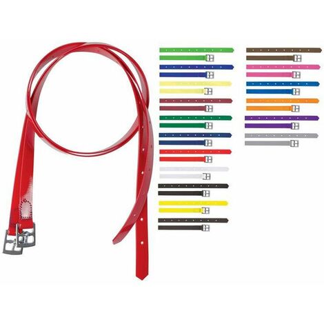Staffili in Biothane con fibbie in acciaio inox di vari colori: Taglia unica, Turchese