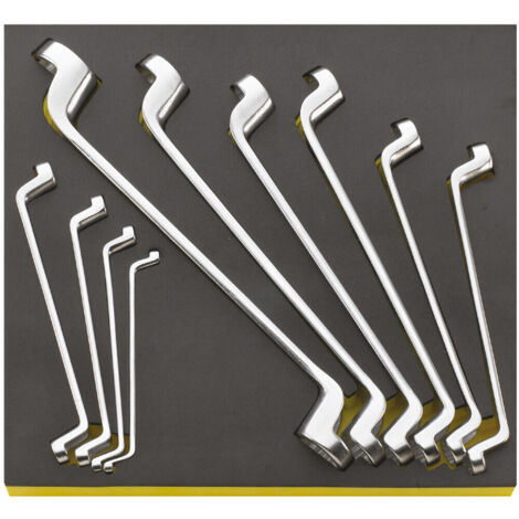 Stahlwille TCS 20/10 Doppelringschlüsselsatz NT IM TOOL-CONTROL EINLAGEN-SYSTEM