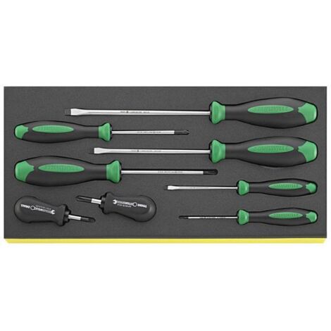 Stahlwille TCS 4620-4737/8 Schraubendreher DRALL BENDREHER