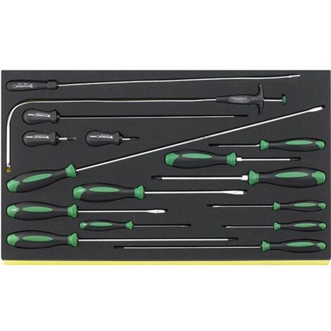 Stahlwille TCS 4621/4734/16 Schraubendreher DRALL ool-Control Einlagen-System