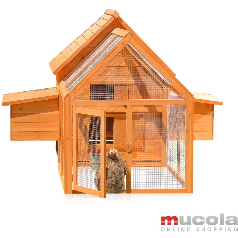 Mucola - stalla pollaio piccoli animali lepri casa lepre stalla lepre