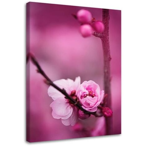 Stampa su tela, Fiore rosa e boccioli su un ramo - 40x60