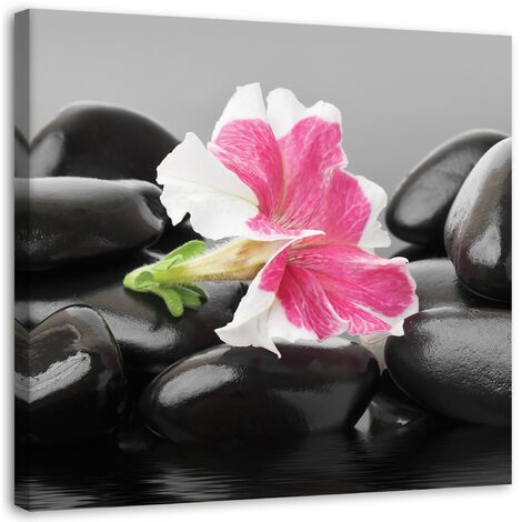 Stampa su tela, Fiore rosa su pietre - 30x30
