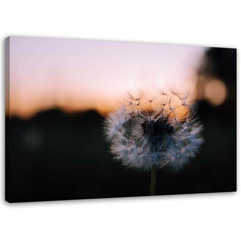 Stampa su tela, Gonfiatore e tramonto - 60x40