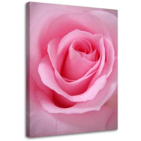 Stampa su tela, Petali di rosa - 40x60