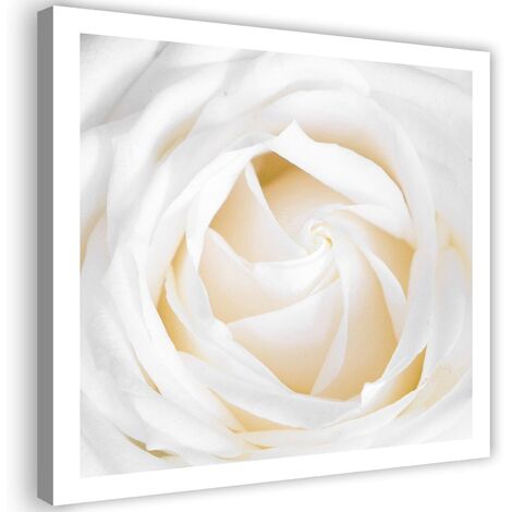 Stampa su tela, Rosa delicata - 40x40