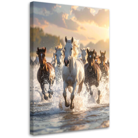 Stampe su Tela, Cavalli al galoppo nell'acqua natura, 60x90