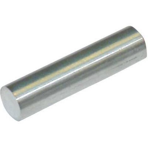 StandexMeder Electronics 4003004003 aimant permanent cylindrique 19 mm