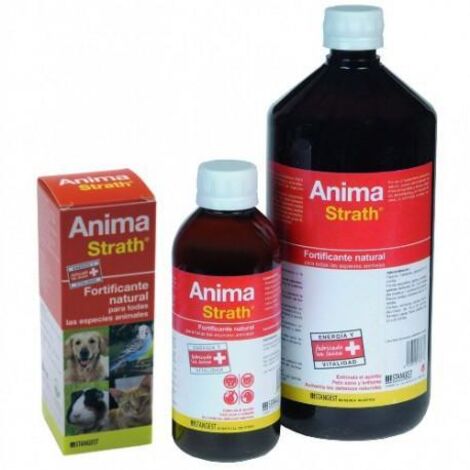 Stangest Anima Strath 250 Ml