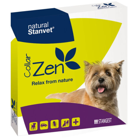 STANGEST COLLAR ZEN PERROS
