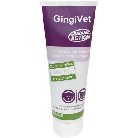 STANGEST GINGIVET PASTA 100GR