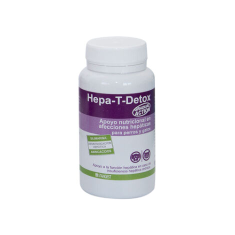 STANGEST HEPA T DETOX 60CPD
