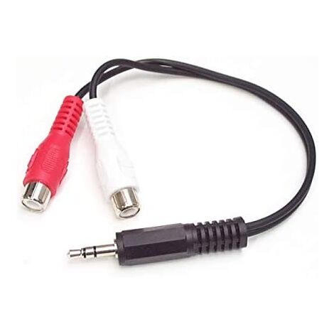 StarTech.com Cable Audio Converter Adapter 15cm Mini Jack 3.5mm to RCA Stereo - Converter