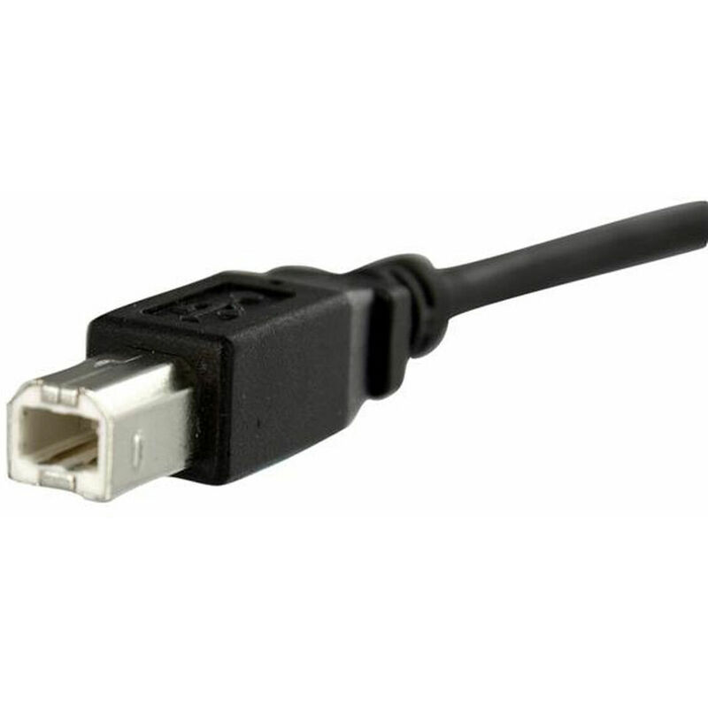 

Cable USB USBPNLBFBM1 USB B Negro - Startech