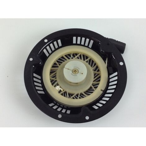 Starten des DAYEE-Rasenmähermotors Rasenmäher DY 21SQ 027724