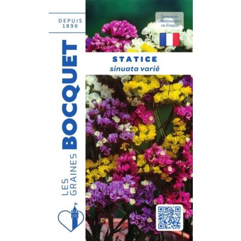 Statice sinuata varié - 0,5g