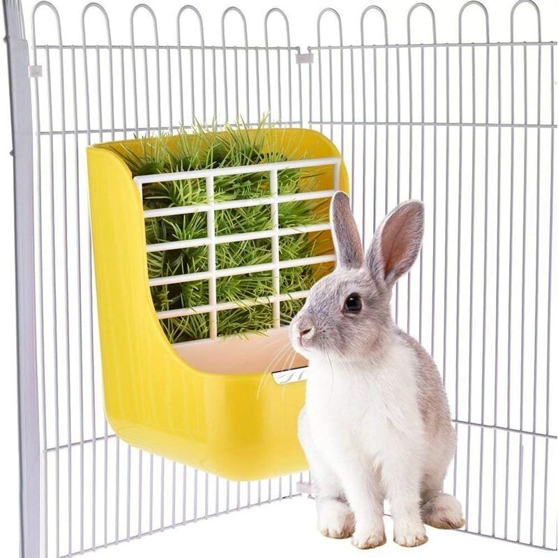 Station alimentation 2 en 1 pour cochons Inde, lapins, lapins, distributeur de nourriture intérieur pour cochons Inde, lapins, chinchillas, bols de