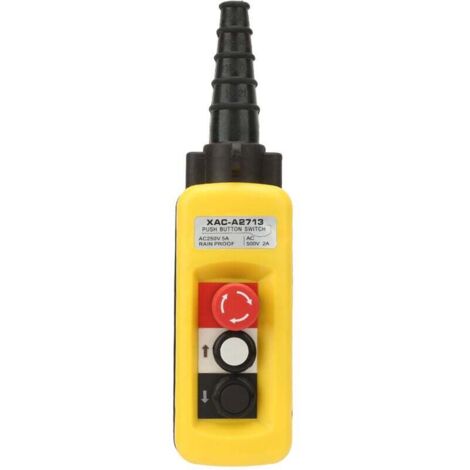 Station de Commande Pendante pour Grue avec Interrupteur Poussoir et Arrêt d'Urgence