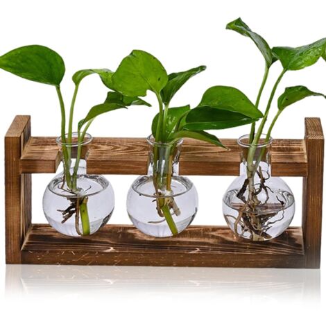 Station de multiplication des plantes, bac à plantes grimpantes avec structure en bois, vase de propagation hydroponique, cadeau de jardinage - 3 vases à bulbes