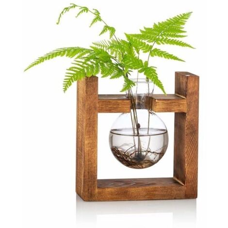Station de propagation 1 vase à bulbe en verre pour pois de senteur pour fleurs, pot de terrarium avec support en bois