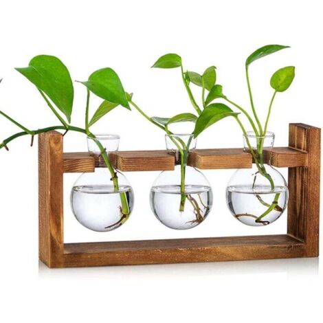 Station De Propagation 3 Pcs Ampoule Vase D'avocat Vase En Verre De Gland Pour Fleurs Terrarium Pot Planteur Avec Support De Support En Bois Pour Plantes D'eau Verte Adapté Pour La Maison Cuisine Tabl