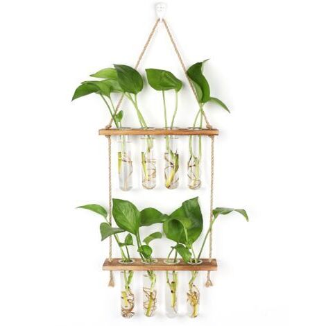 Station de Propagation avec Support en Bois Vase Mural,Verre Suspendu pour Plantes Hydroponiques