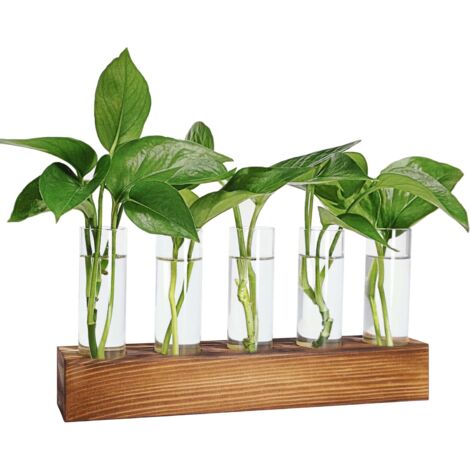 Station de Propagation de Plantes avec Support en Bois – Térrarium pour Hydroponie, 5 Vases en Tube à Essai en Verre, Pots de Plantes Compacts, Cadeaux de Jardinage Unique d'Anniversaire pour Femmes, 