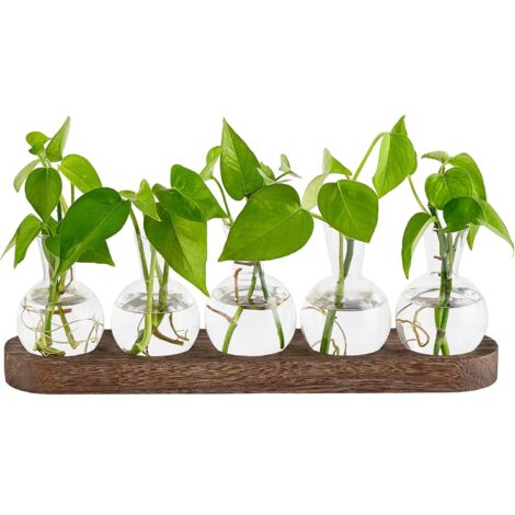 Station de Propagation de Plantes de Bureau en Verre – Térrarium Rétro avec Plateau en Bois, Vase en Forme d'Ampoule Marron pour Hydroponie, Décoration Intérieure Maison, Cadeau pour Amateurs de Plant