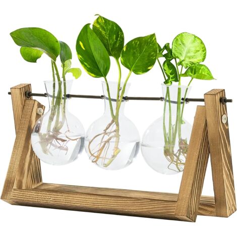 Station de Propagation des Plantes Hydroponiques avec Support en Bois - 3 Vases en Verre pour Culture des Plantes Aquatiques et Décoration