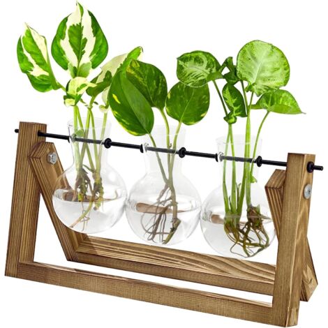 Station de Propagation des Plantes Hydroponiques avec Support en Bois - 3 Vases en Verre pour Culture des Plantes Aquatiques et Décoration