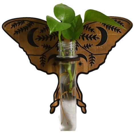Station d'élevage murale pour papillons, support suspendu en bois pour plantes, B