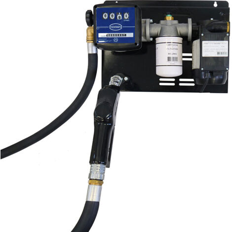 STATION FUEL 230V 80L/M FLEX REFOULEMENT 10M RENSON