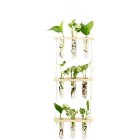 Station murale de propagation - Support végétal étagé en bois naturel avec 9 tubes verre pour plantes, décoration floral pour maison bureau