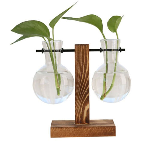 Station propagation plantes B terrarium bureau pot verre avec support
