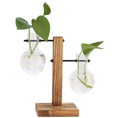 Station propagation plantes C terrarium bureau pot verre avec support