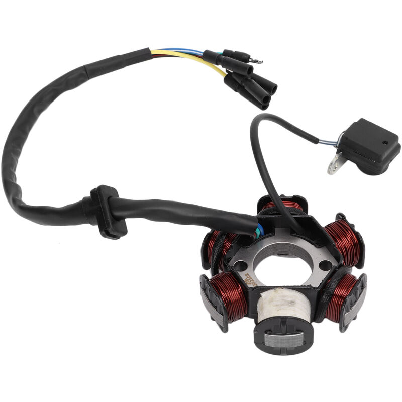 Jeffergarden - Stator magnéto 6 bobines Générateur 5 fils pour GY6 50 cc 70 cc 90 cc 110 cc 125 cc Cyclomoteur atv Dirt Bike