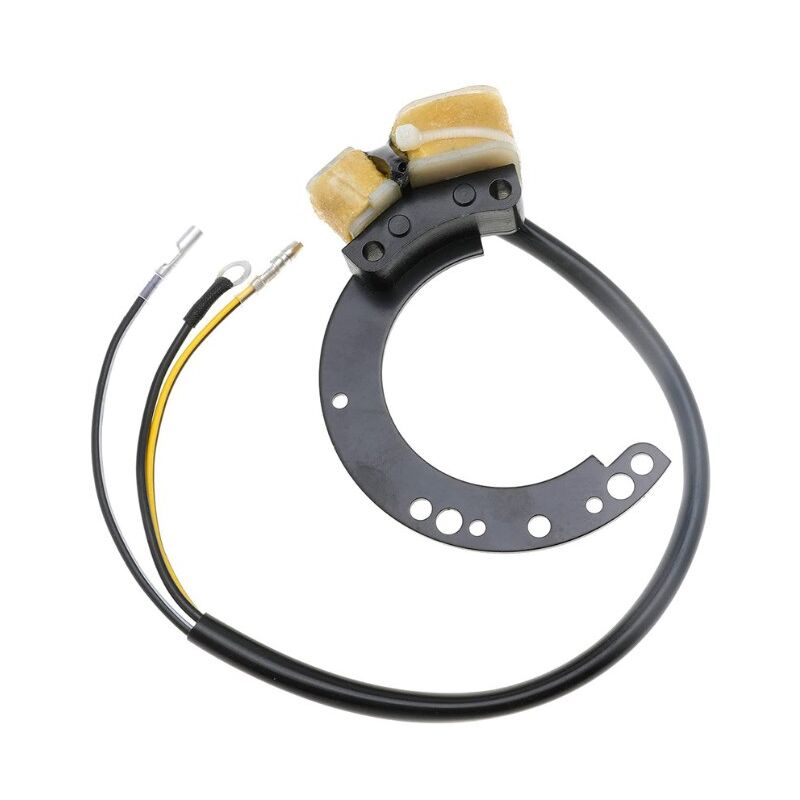 Csparkv - Stator magnéto adapté à la bobine d'allumage de moteur hors-bord Mercury Mariner 6HP-40HP 2 cylindres